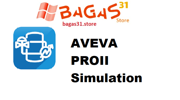 AVEVA PROII Simulation