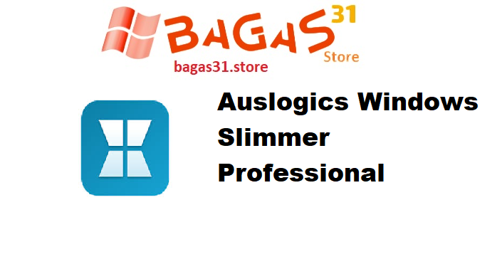 Auslogics Windows Slimmer Professional