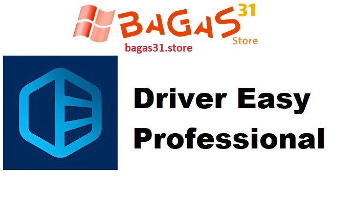 Driver Easy Professional
