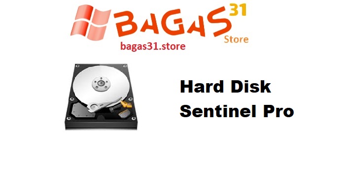 Hard Disk Sentinel Pro