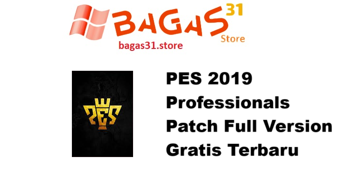 PES 2019 Professionals Patch