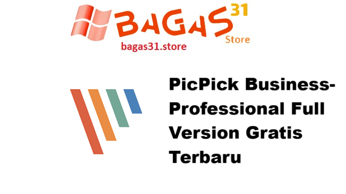 PicPick Business-Professional