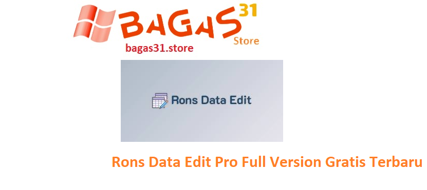 Rons Data Edit Pro 2025.6.18.1343 Full Version Gratis Terbaru