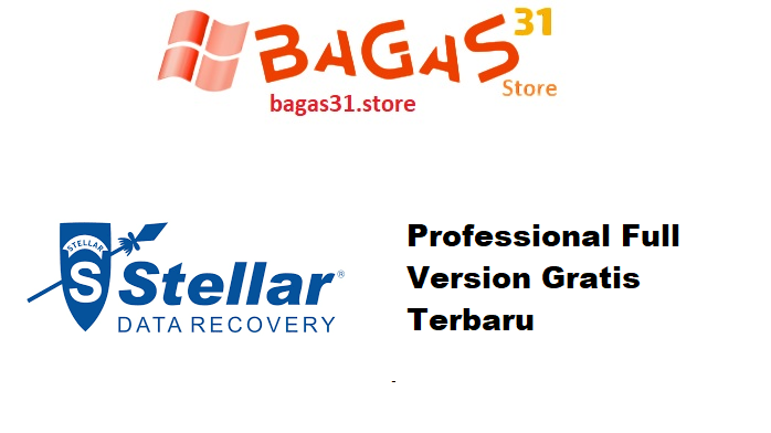 Stellar Photo Recovery Professional 11.8.0.4 Multilingual Full Version Gratis Terbaru