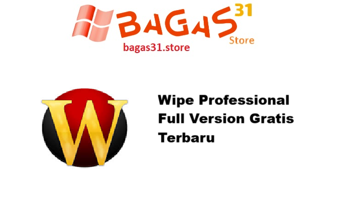 Wipe Professional 2025.06 Full Version Gratis Terbaru